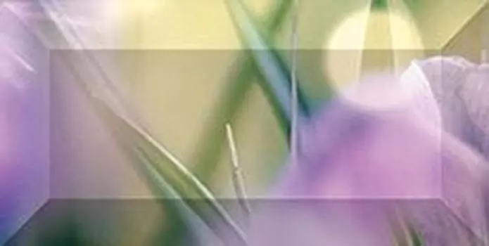 Керамический бордюр Ceramica Classic