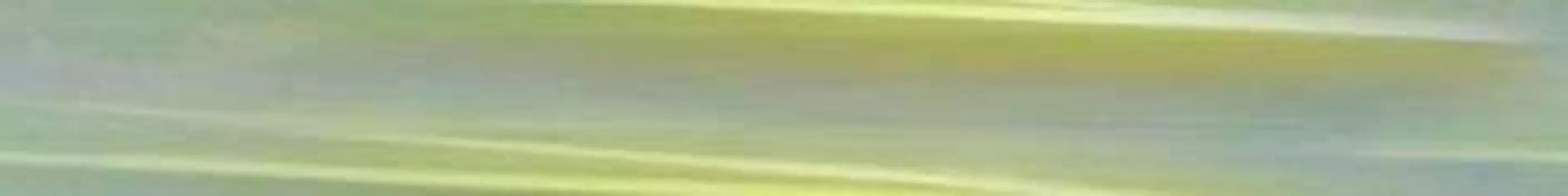 Керамический бордюр Ceramica Classic