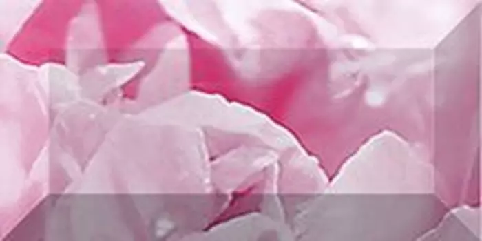 Керамический бордюр Ceramica Classic