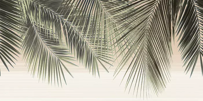 Керамический декор Alma Ceramica