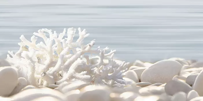 Керамический декор Alma Ceramica