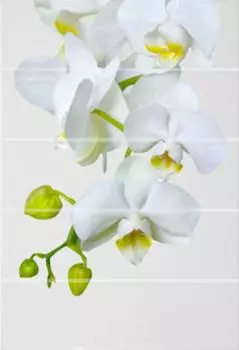 Керамический декор Alma Ceramica