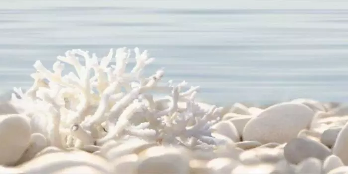 Керамический декор Alma Ceramica