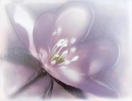 Керамический декор Alma Ceramica