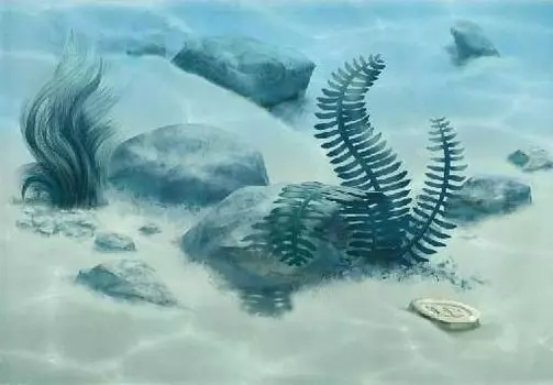 Керамический декор Alma Ceramica