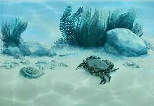 Керамический декор Alma Ceramica