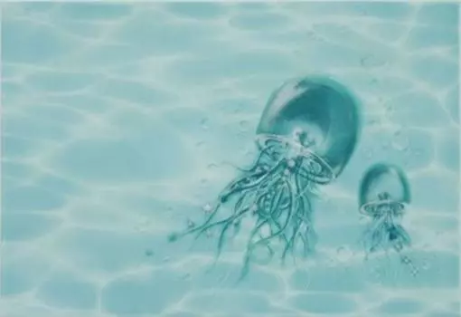 Керамический декор Alma Ceramica