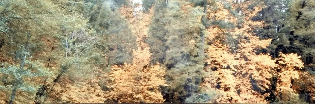 Керамический декор Aparici