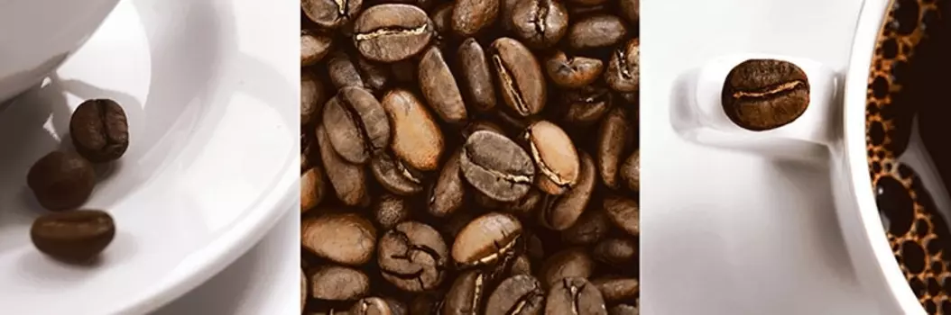 Керамический декор Aparici