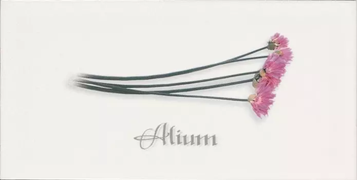 Керамический декор Ape