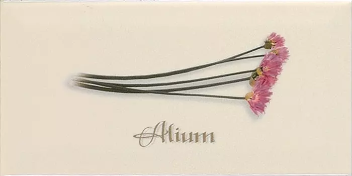 Керамический декор Ape