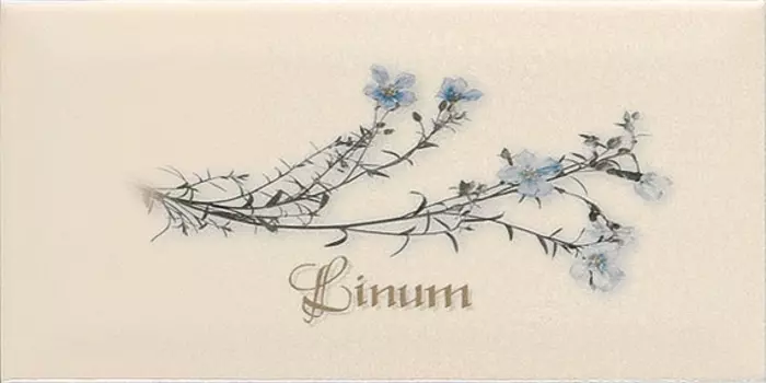 Керамический декор Ape