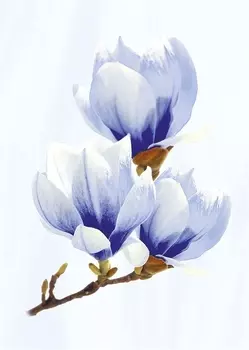 Керамический декор Axima