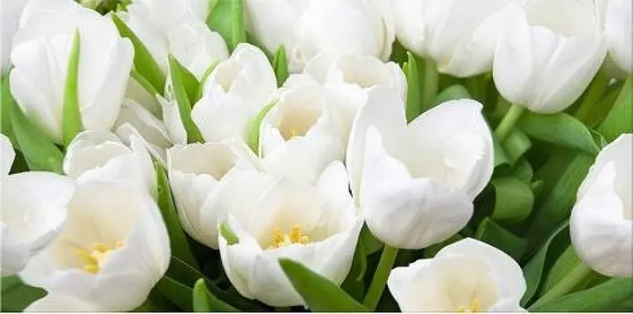 Керамический декор Azori