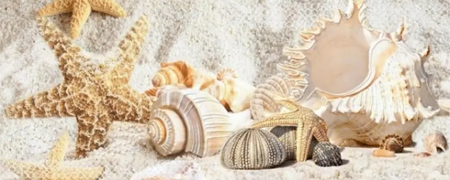 Керамический декор Azori