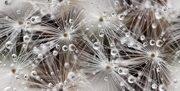 Керамический декор Beryoza Ceramica (Береза керамика)