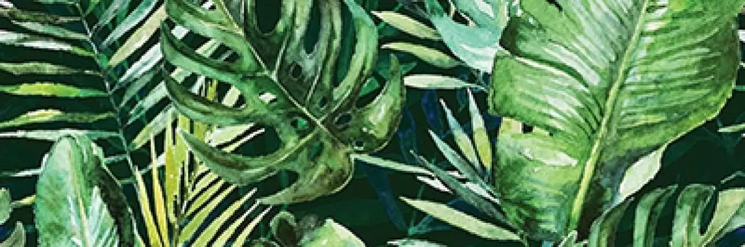 Керамический декор Ceramika Konskie