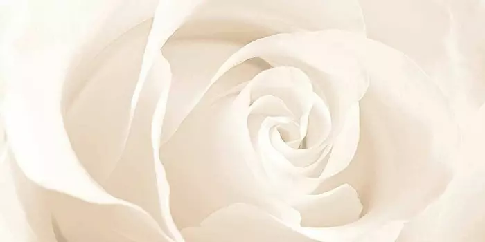 Керамический декор Cersanit