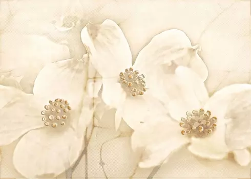 Керамический декор Cersanit