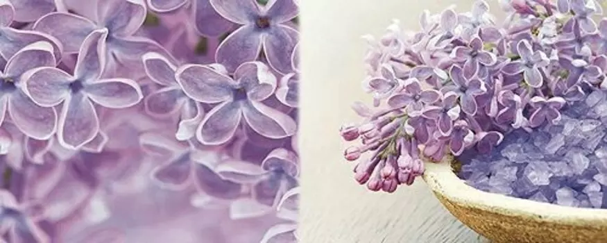 Керамический декор Ibero