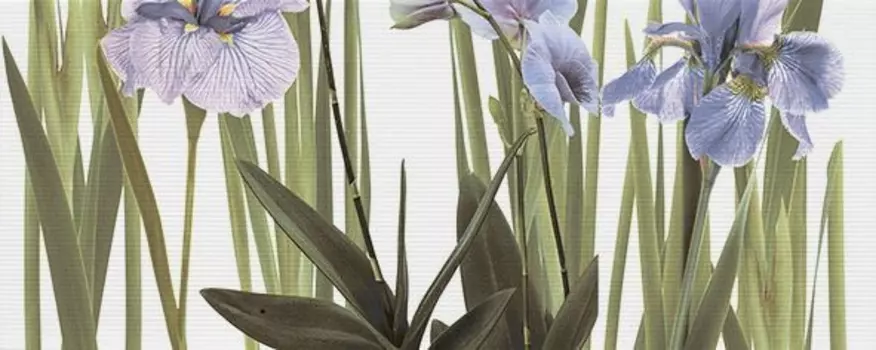 Керамический декор Керамин