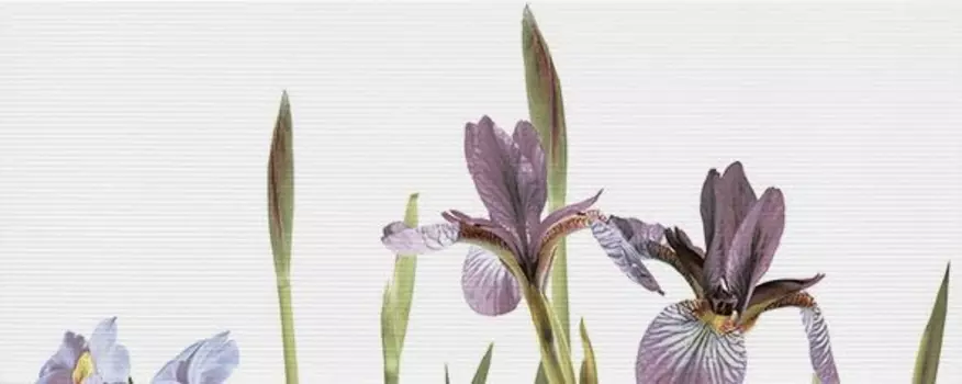 Керамический декор Керамин