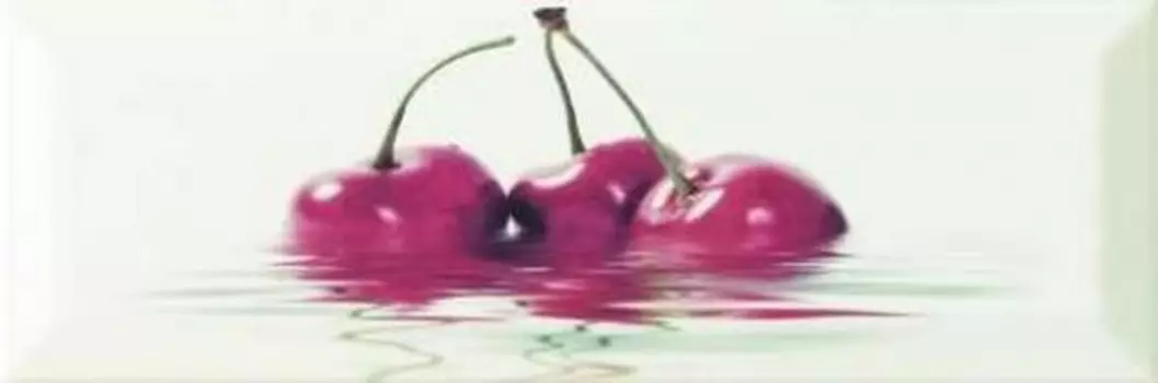 Керамический декор Monopole Ceramica