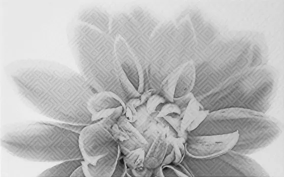 Керамический декор Шахтинская плитка (Unitile)