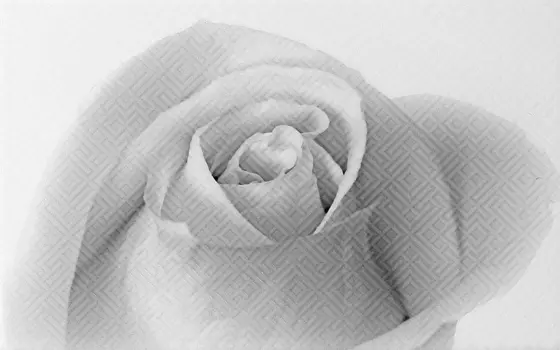 Керамический декор Шахтинская плитка (Unitile)