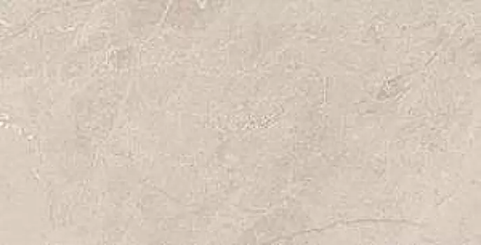 Керамогранит Ametis