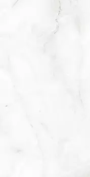 Керамогранит Arcadia Ceramica