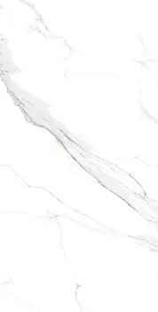 Керамогранит Arcadia Ceramica