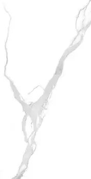 Керамогранит Arcadia Ceramica