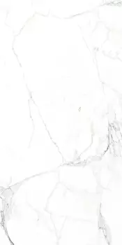 Керамогранит Arcadia Ceramica