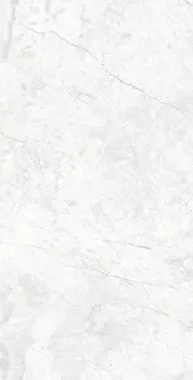 Керамогранит Arcadia Ceramica