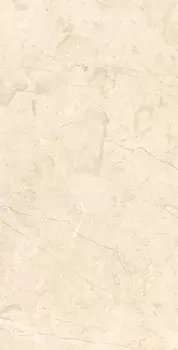 Керамогранит Arcadia Ceramica