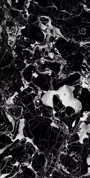 Керамогранит Arcadia Ceramica