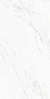 Керамогранит Arcadia Ceramica