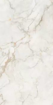 Керамогранит Arcadia Ceramica