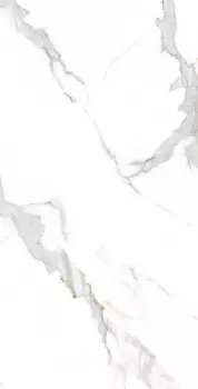 Керамогранит Arcadia Ceramica