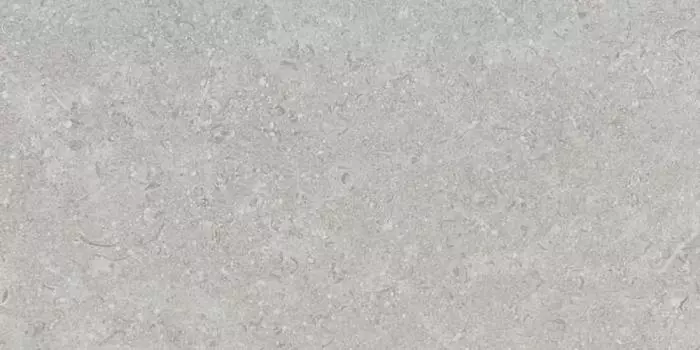 Керамогранит Argenta