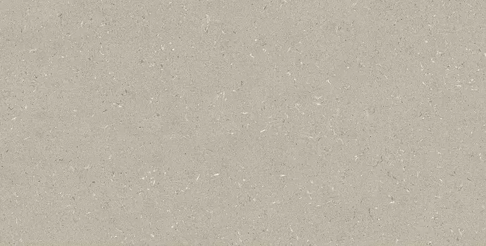 Керамогранит Argenta