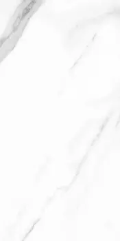 Керамогранит Argenta