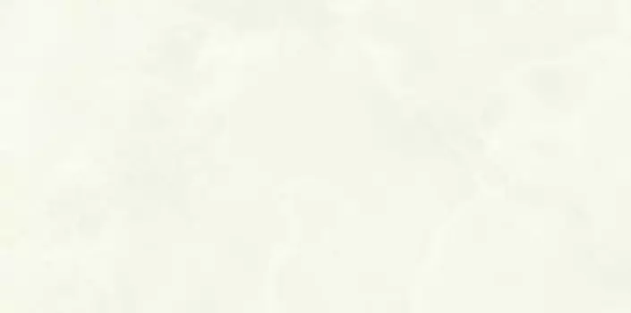 Керамогранит Ariostea