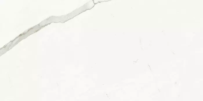 Керамогранит Ariostea