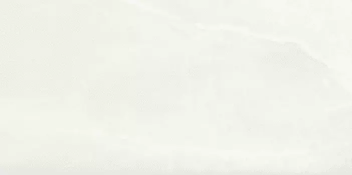 Керамогранит Ariostea