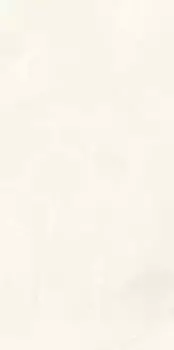 Керамогранит Ariostea