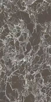 Керамогранит Ariostea