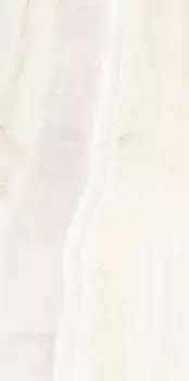 Керамогранит Ariostea