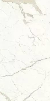 Керамогранит Ariostea